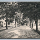 MT.MORRIS NY MURRAY STREET ANTIQUE POSTCARD
