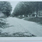 VINTAGE UNDIVIDED POSTCARD MAPLE RANCH AVENUE LITTLE GENESEE N.Y.
