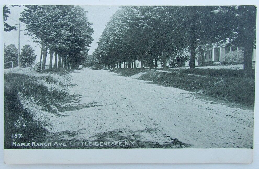 VINTAGE UNDIVIDED POSTCARD MAPLE RANCH AVENUE LITTLE GENESEE N.Y.