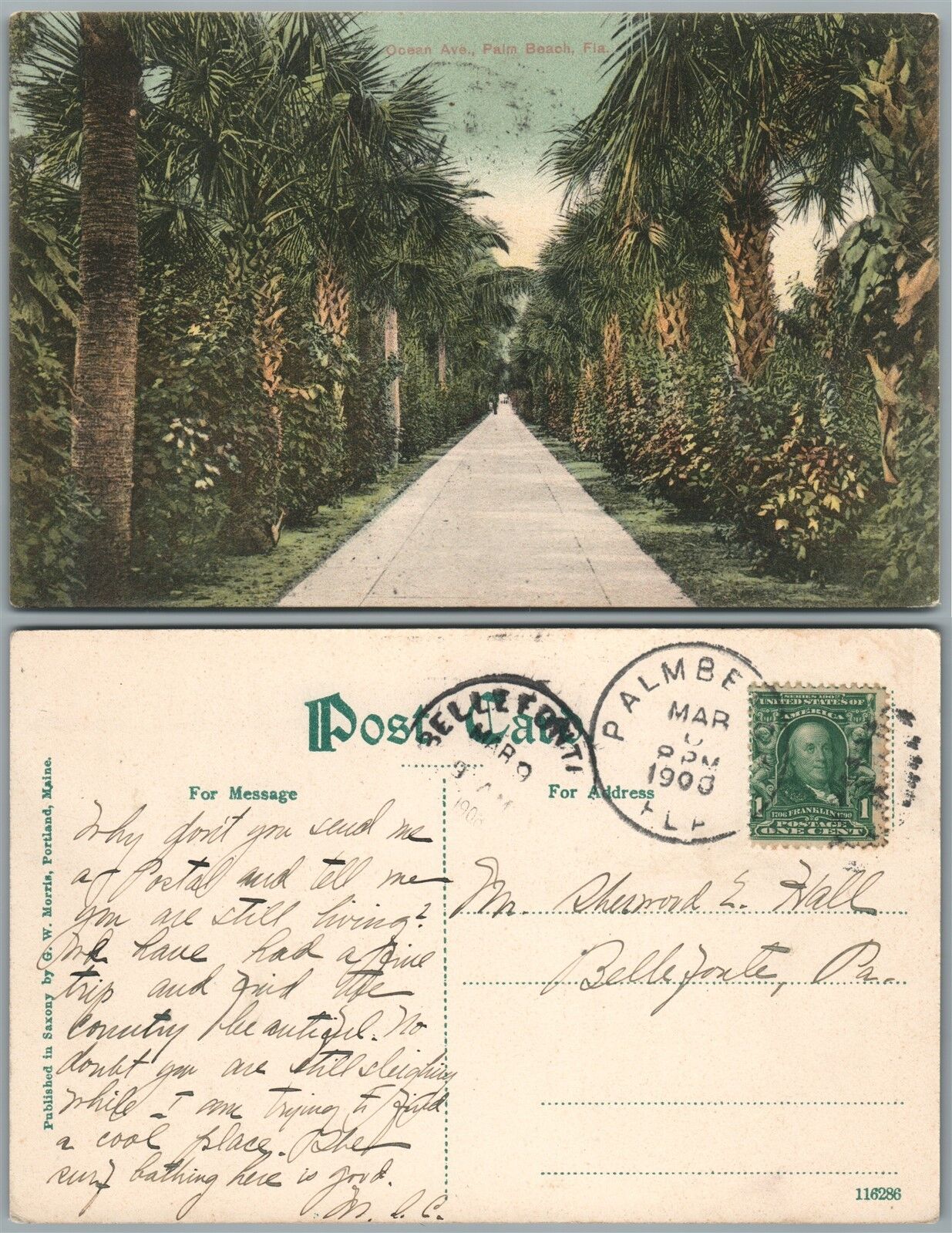 PALM BEACH FL OCEAN AVENUE 1908 ANTIQUE POSTCARD