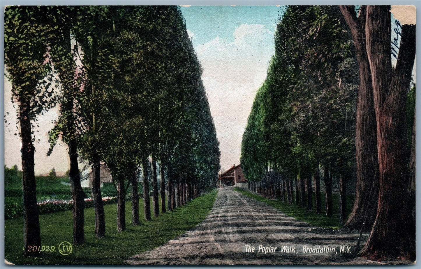 BROADALBIN NY POPLAR WALK 1907 UNDIVIDED ANTIQUE POSTCARD