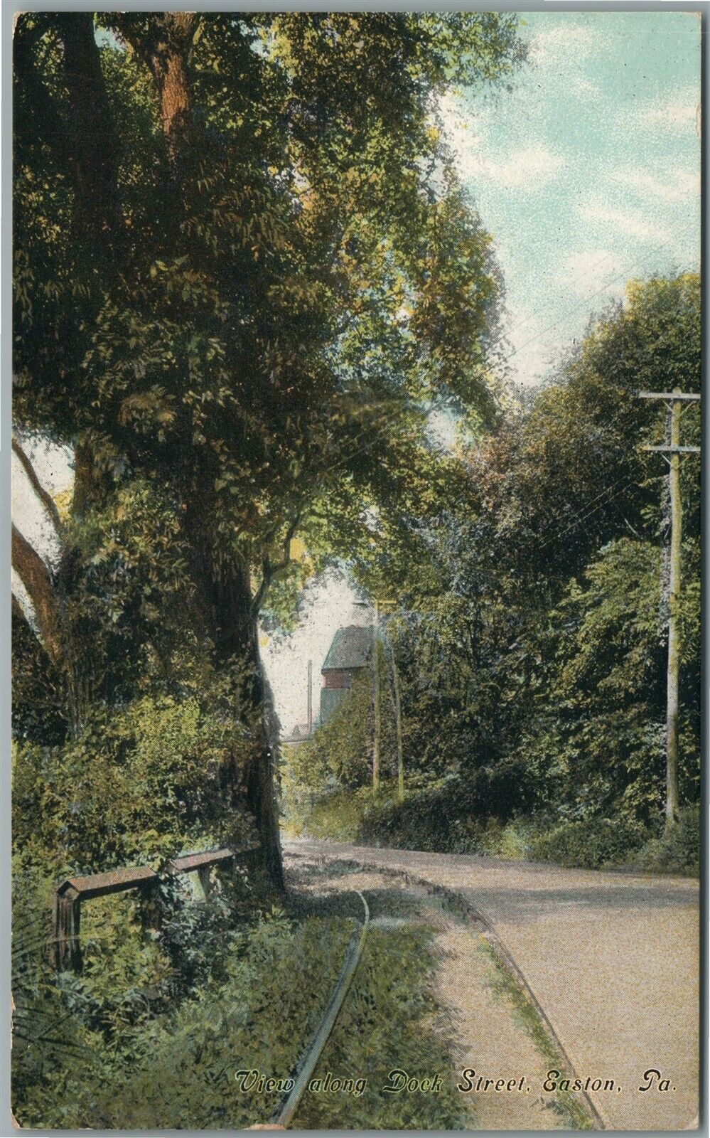 EASTON PA DOCK STREET ANTIQUE POSTCARD