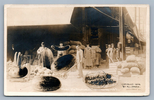 EXAGGERATED WASHINGTON VEGETABLES ANTIQUE REAL PHOTO POSTCARD RPPC collage