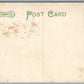 POLAND NY MAIN STREET ANTIQUE POSTCARD