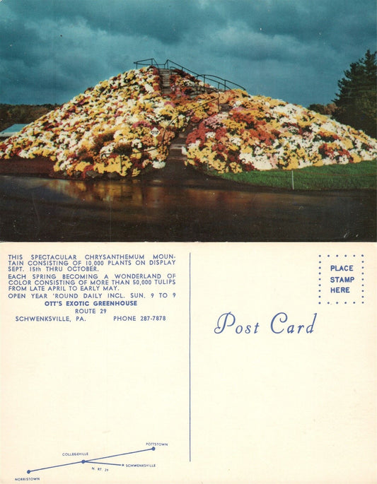 SCHWENKSVILLE PA OTT'S EXOTIC GREENHOUSE VINTAGE POSTCARD