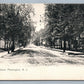 FLEMINGTON NJ MAIN STREET ANTIQUE POSTCARD