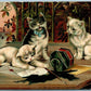 CATS w/ INKWELL ANTIQUE POSTCARD