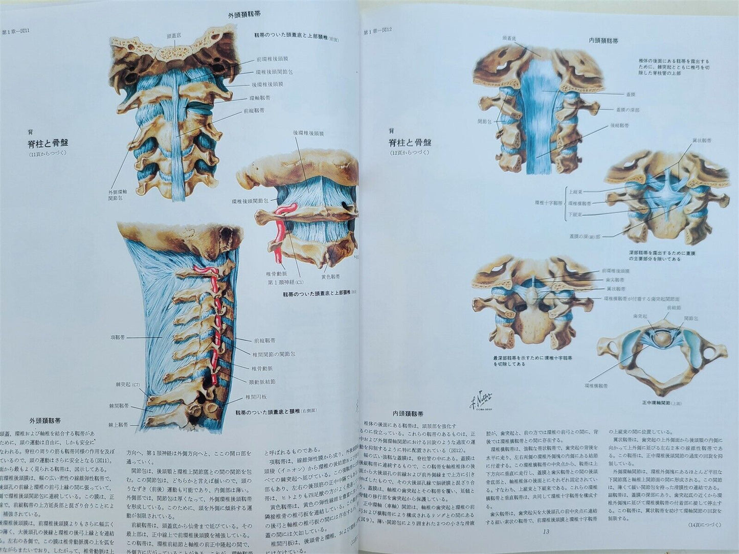 CIBA COLLECTION of MEDICAL ILLUSTRATIONS by FRANK H. NETTER reference & art book