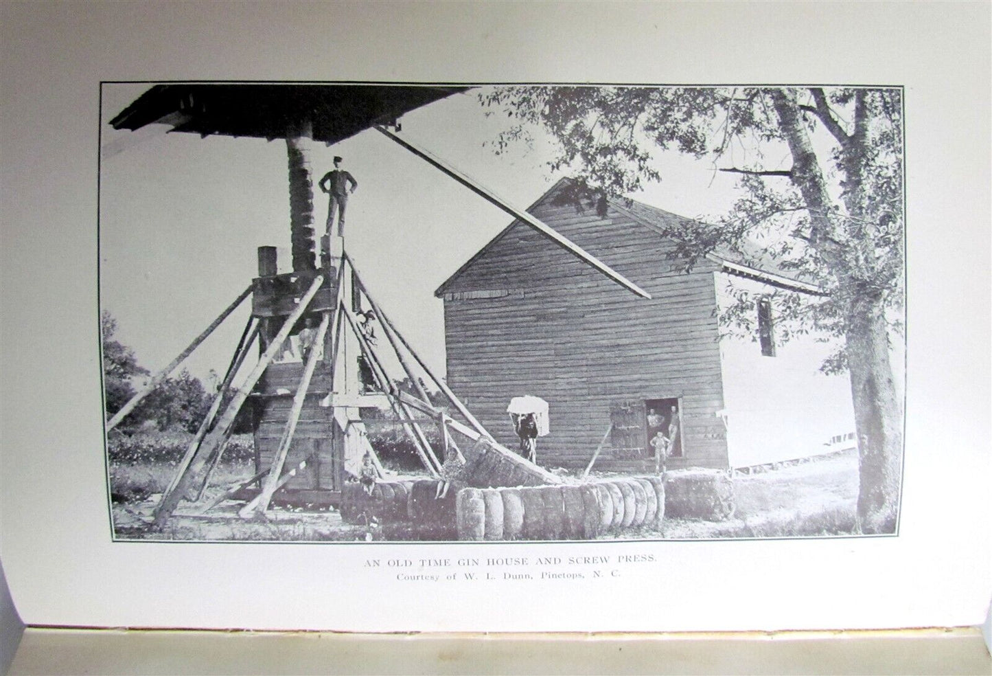 1908 KING COTTON HISTORICAL & STATISTICAL REVIEW J. WATKINS antique ILLUSTRATED