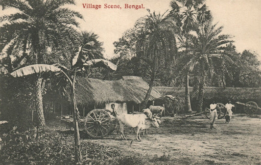 INDIA BENGAL VILLAGE SCENE ANTIQUE POSTCARD