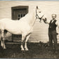 MAN w/ WHITE HORSE ANTIQUE REAL PHOTO POSTCARD RPPC
