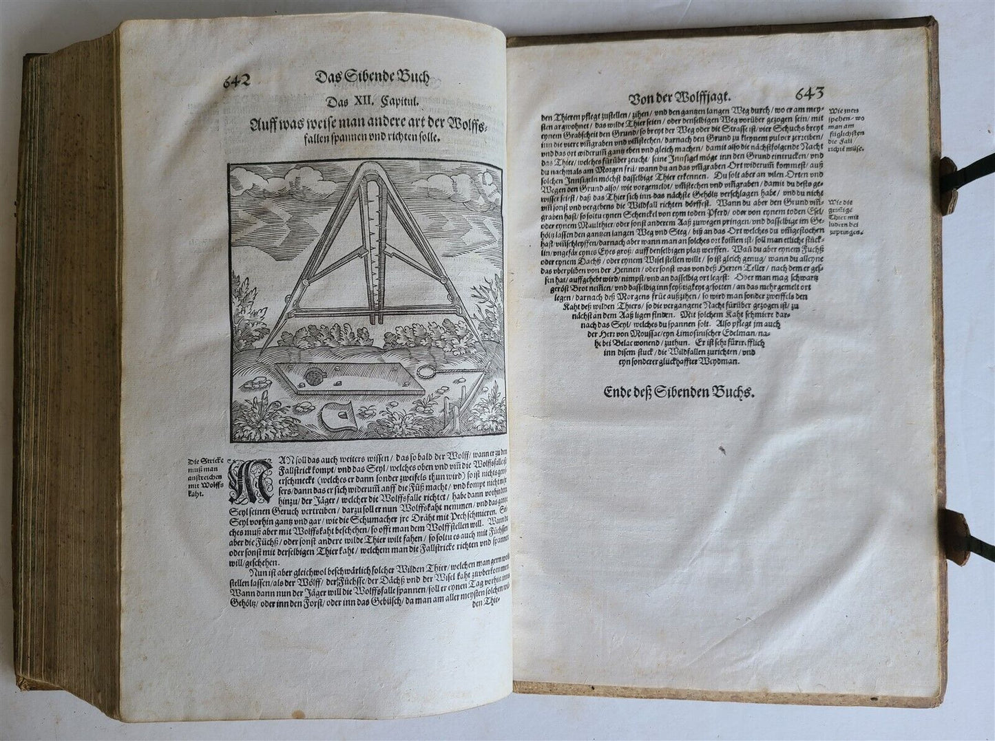 1580 ILLUSTRATED by Tobias Stimmer & J. Amman FOLIO antique HUNTING FALCONRY