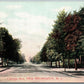 NEW BRUNSWICK NJ COLLEGE AVENUE 1909 ANTIQUE POSTCARD