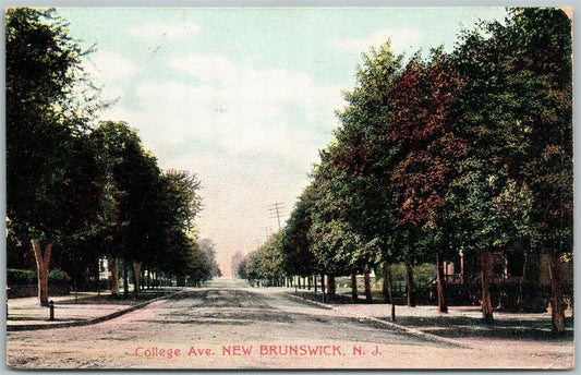 NEW BRUNSWICK NJ COLLEGE AVENUE 1909 ANTIQUE POSTCARD