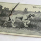 DOG w/ ATTACHED METAL WIRE TAIL MECHANICAL ANTIQUE POSTCARD