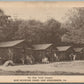 STROUDSBURG PA BLUE MOUNTAIN CAMPS GIRLS' CAMPUS ANTIQUE POSTCARD