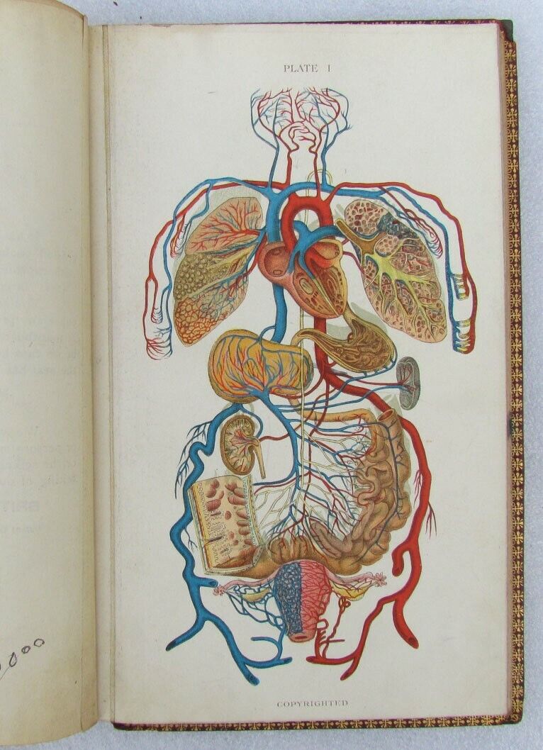 1909 GYNECOLOGICAL PLATES antique leather bound