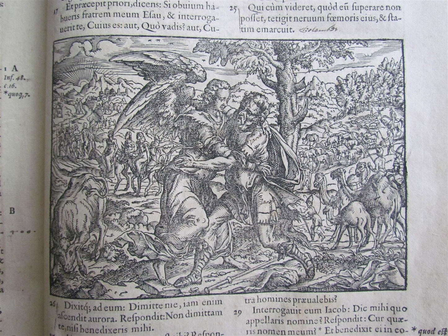 1566 BIBLE ILLUSTRATED by JOST AMMAN antique RARE Sigismund Feierabend FOLIO