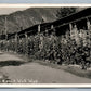 WOLF WYO EATON'S RANCH THE PIKE ANTIQUE REAL PHOTO POSTCARD RPPC