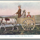 NANTUCKET MA GOING TO SHEARING IN OLD TIMES ANTIQUE POSTCARD