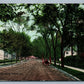 SUMMIT NJ SPRINGFIELD AVENUE ANTIQUE POSTCARD