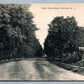 PORTVILLE NY NORTH MAIN STREET ANTIQUE POSTCARD