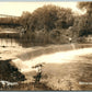 OTTAWA KS MAN ON OTT DAM ANTIQUE REAL PHOTO POSTCARD RPPC