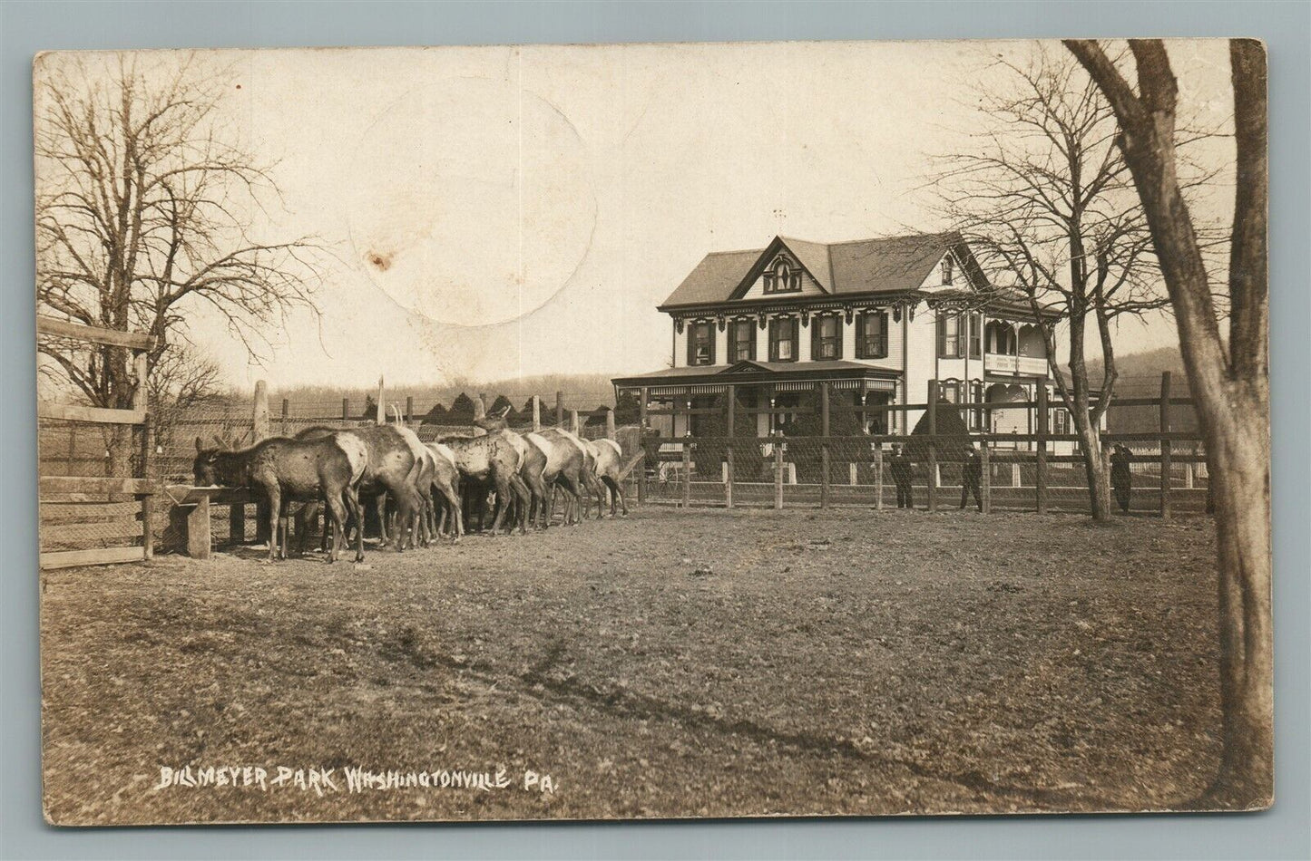 WASHINGTONVILLE PA BILLMEYER PARK ANTIQUE REAL PHOTO POSTCARD RPPC