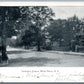 WHITE PLAINS NY LEXINGTON AVENUE UNDIVIDED ANTIQUE POSTCARD
