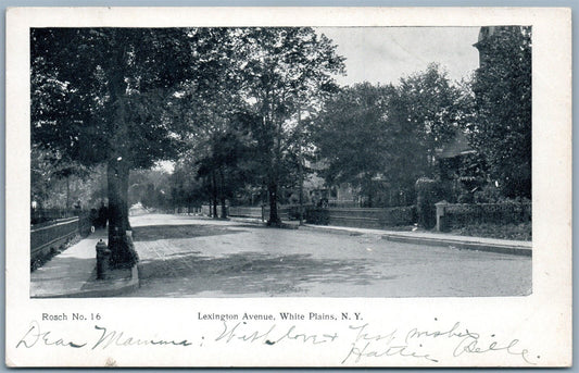WHITE PLAINS NY LEXINGTON AVENUE UNDIVIDED ANTIQUE POSTCARD