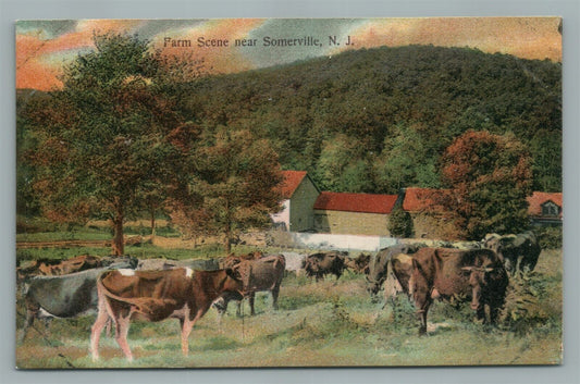 SOMERVILLE NJ FARM SCENE VINTAGE POSTCARD