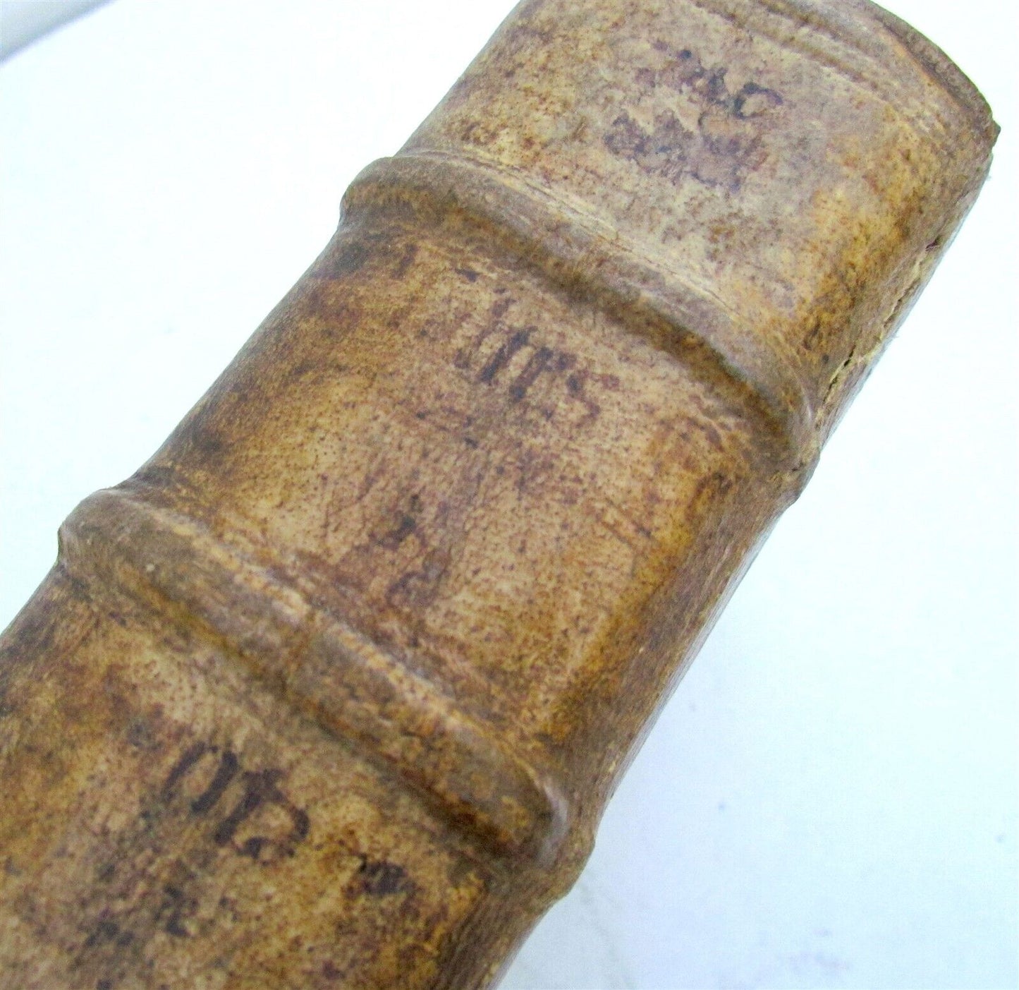 1559 TYPUS ECCLESIAE CATHOLICAE G. Witzel BLIND TOOLED PIGSKIN w/ CLASPS antique