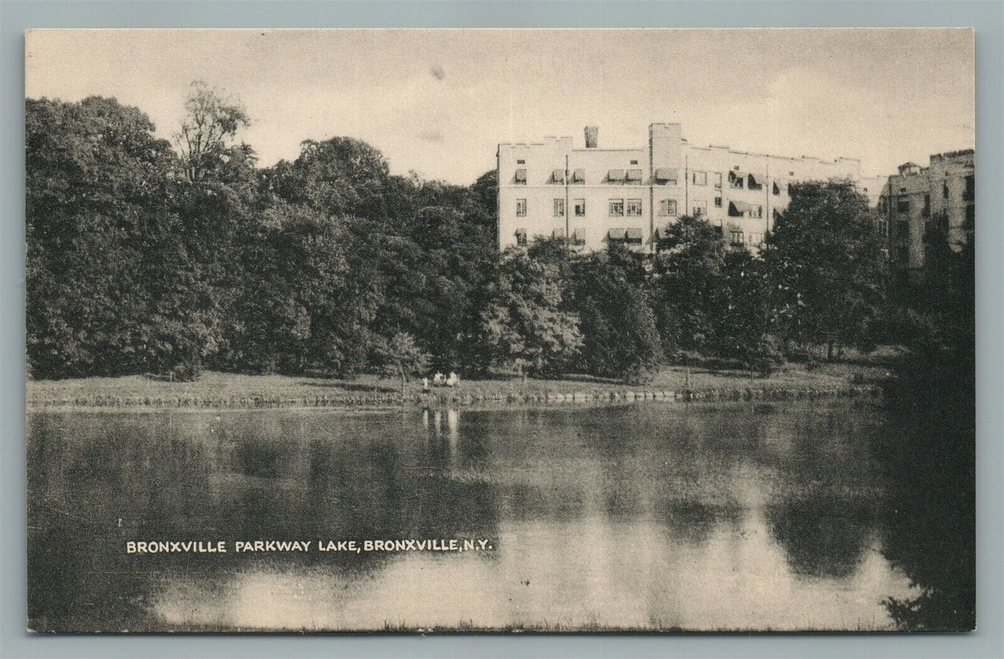 BRONXVILLE NY PARKWAY LAKE ANTIQUE POSTCARD
