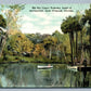 ORMOND FL UPPER TOMOKA ANTIQUE POSTCARD