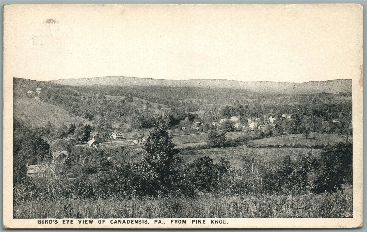 CANADENSIS PA BIRDS EYE VIEW ANTIQUE POSTCARD