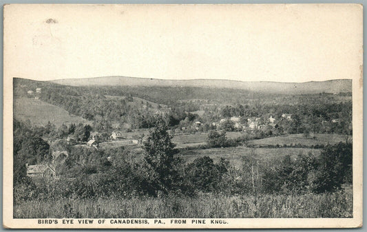 CANADENSIS PA BIRDS EYE VIEW ANTIQUE POSTCARD