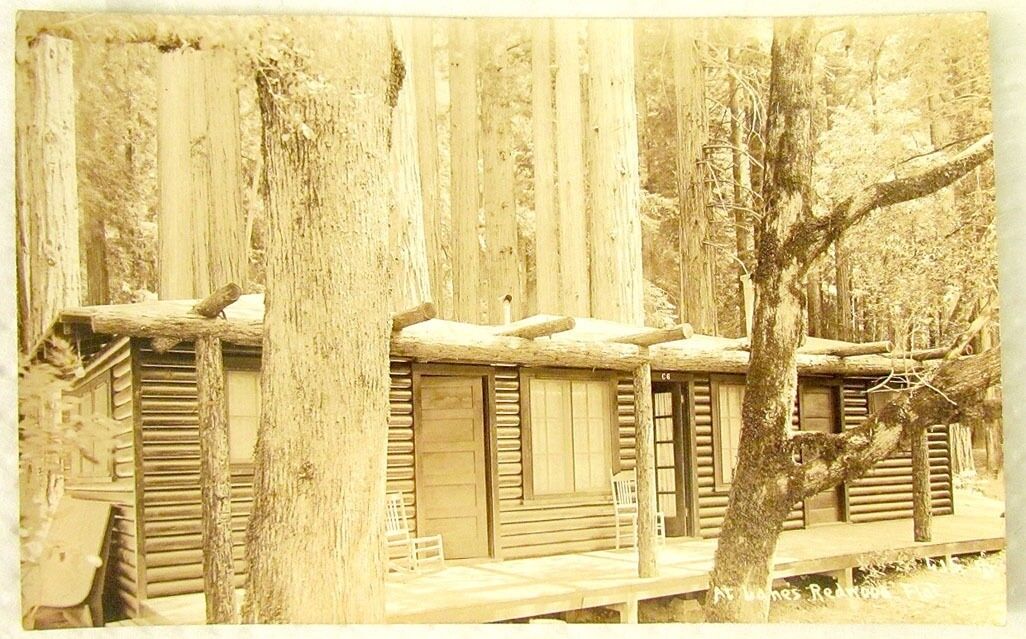 AT LANE'S REDWOOD FLAT CALIFORNIA VINTAGE REAL PHOTO POSTCARD RPPC