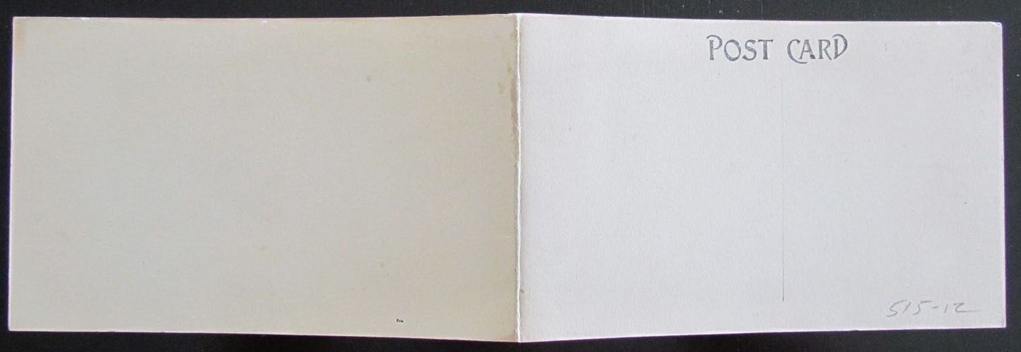 BROCKPORT N.Y. STATE NORMAL SCHOOL PANORAMIC VIEW ANTIQUE FOLDING POSTCARD