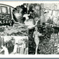 PHOTOMONTAGE TEXSUN JUICE ADVERTISING VINTAGE REAL PHOTO POSTCARD RPPC