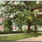 ELIZABETH NJ SALEM AVENUE ANTIQUE POSTCARD