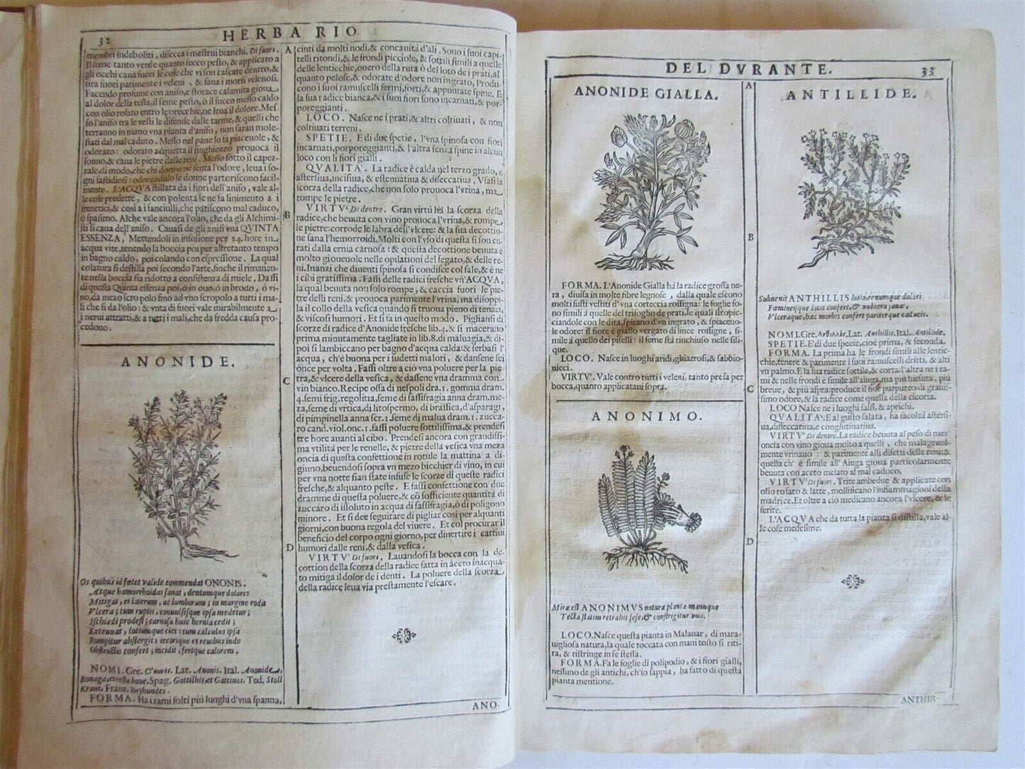 1667 HERBARIO NOVO by Castore DURANTE antique PLANTS BOTANY FULLY ILLUSTRATED