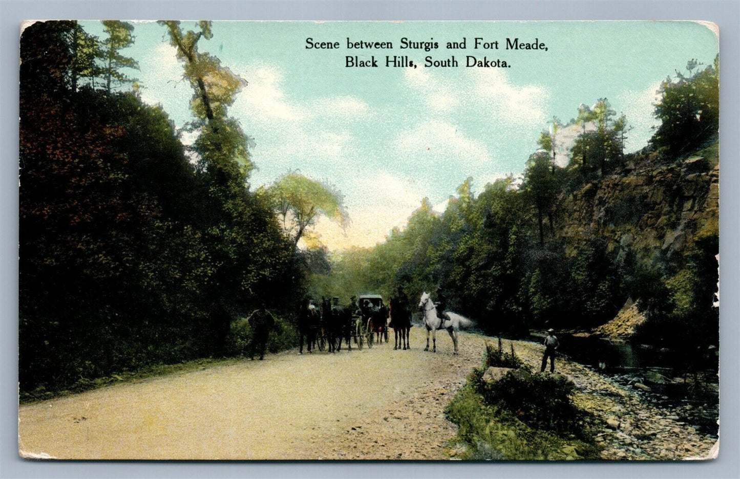 SCENE between STURGIS & FT.MEADE BLACK HILLS SD ANTIQUE POSTCARD