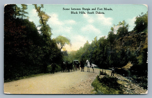 SCENE between STURGIS & FT.MEADE BLACK HILLS SD ANTIQUE POSTCARD