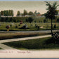 MECHANICVILLE NY TALLMADGA PARK UNDIVIDED ANTIQUE POSTCARD