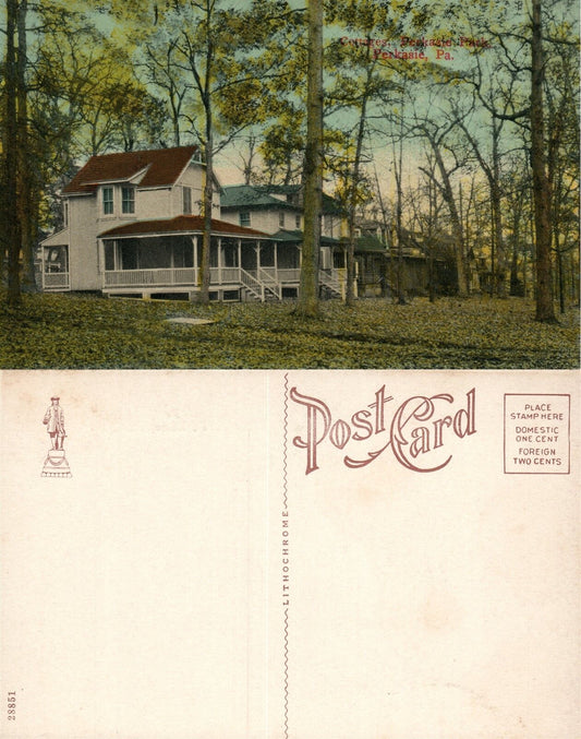 PERKASIE PARK PA COTTAGES ANTIQUE POSTCARD