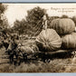 EXAGGERATED PUMPKINS ANTIQUE 1911 REAL PHOTO POSTCARD RPPC by W. MARTIN