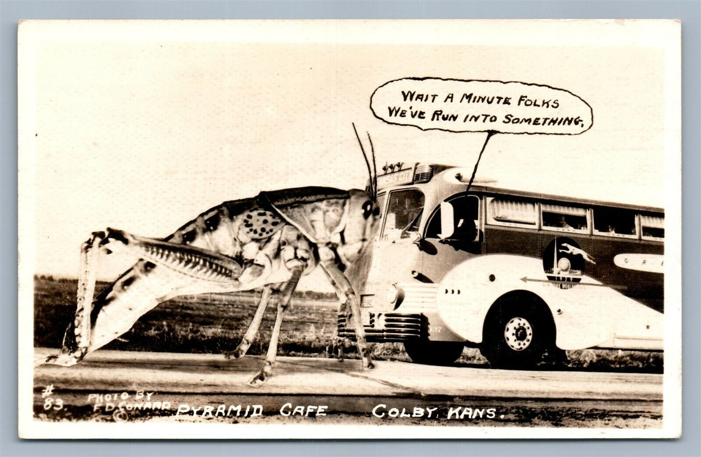 EXAGGERATED GRASSHOPER HOLDS BUS VINTAGE REAL PHOTO POSTCARD RPPC COLBY KS