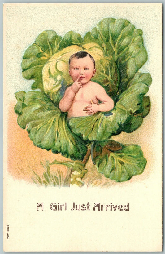 GIRL JUST ARRIVED EMBOSSED ANTIQUE POSTCARD