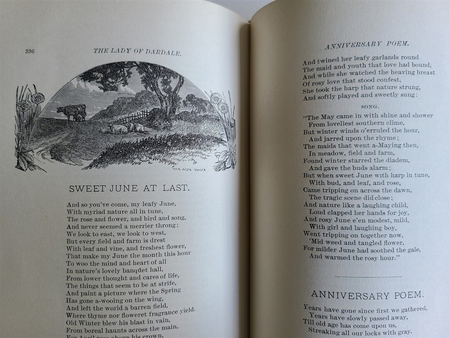 1886 THE LADY of DARDALE & OTHER POEMS HORACE EATON WALKER antique ILLUSTRATED