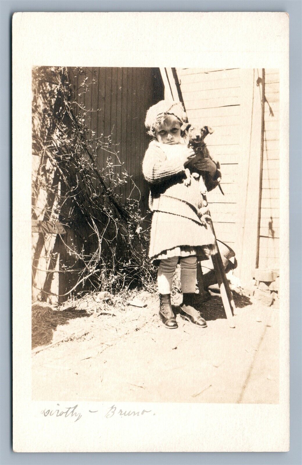 SMALL GIRL w/ DOG ANTIQUE REAL PHOTO POSTCARD RPPC